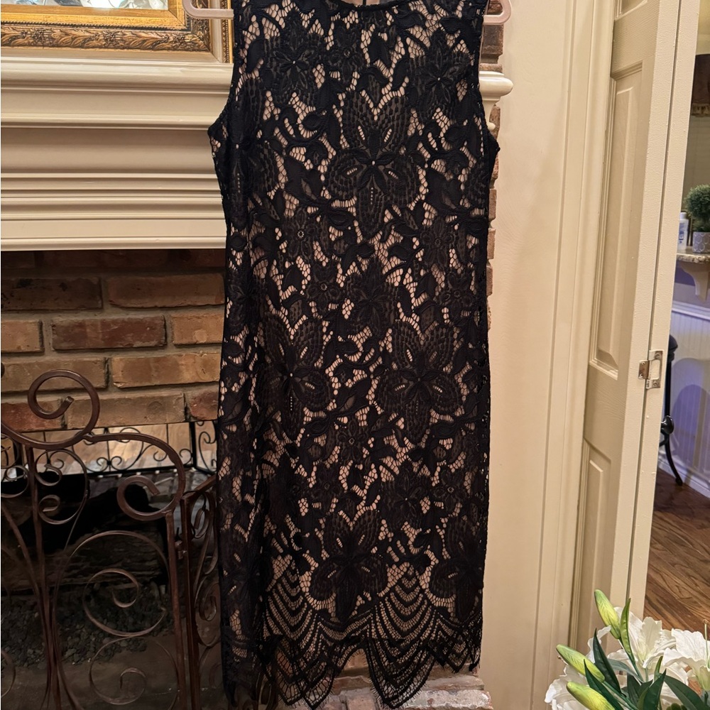 Elegant Black Lace Dress